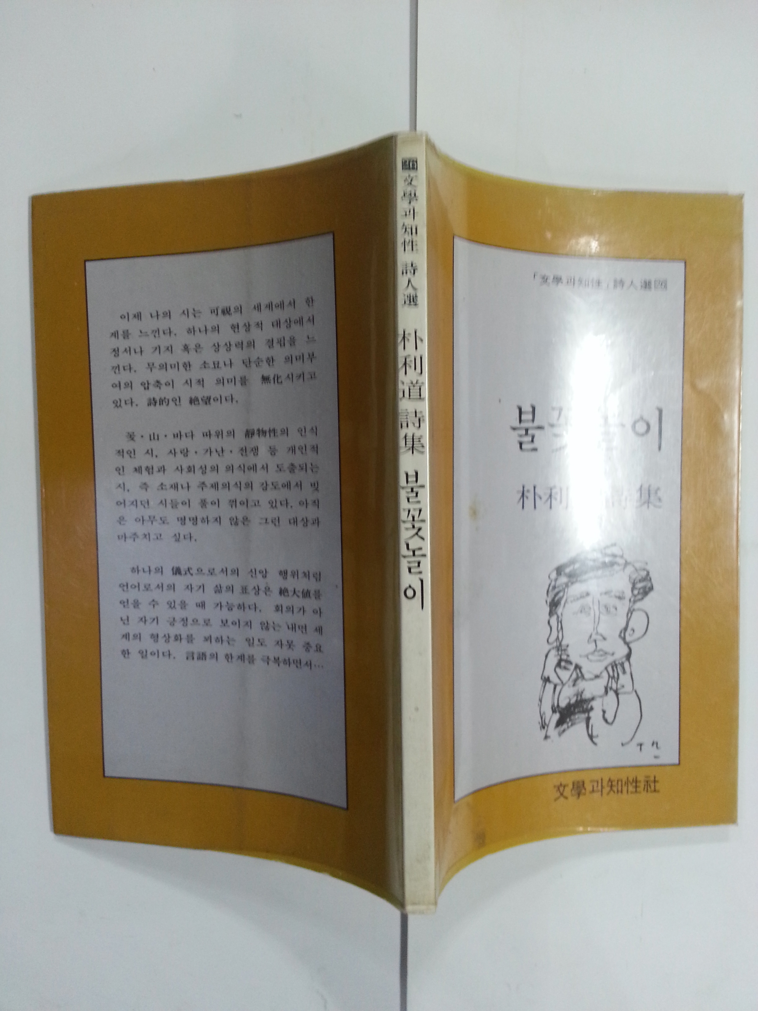 불꽃놀이 (박이도시집, 1985년)