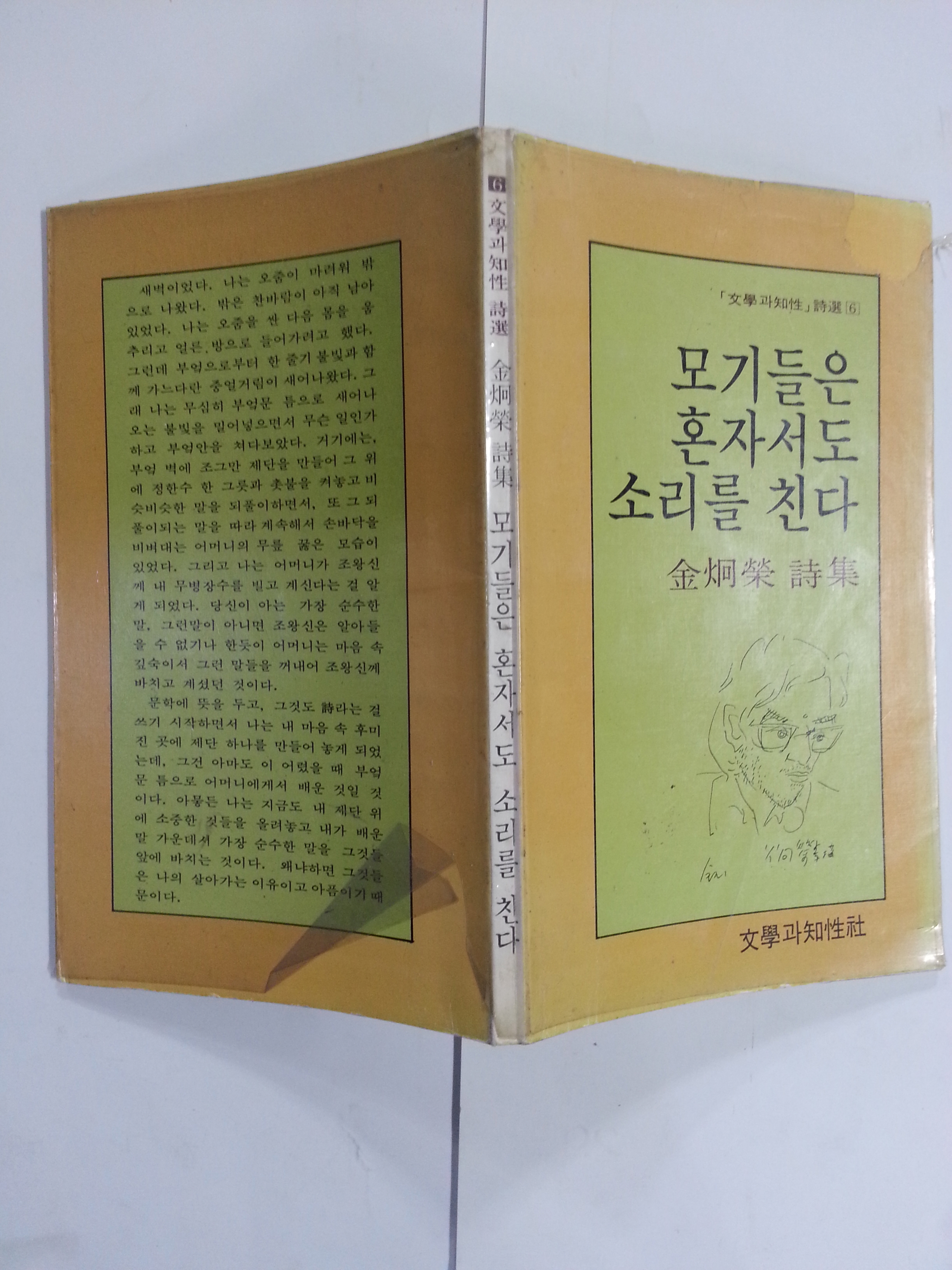 모기들은 혼자서도 소리를 친다 (김형영시집, 1985년)