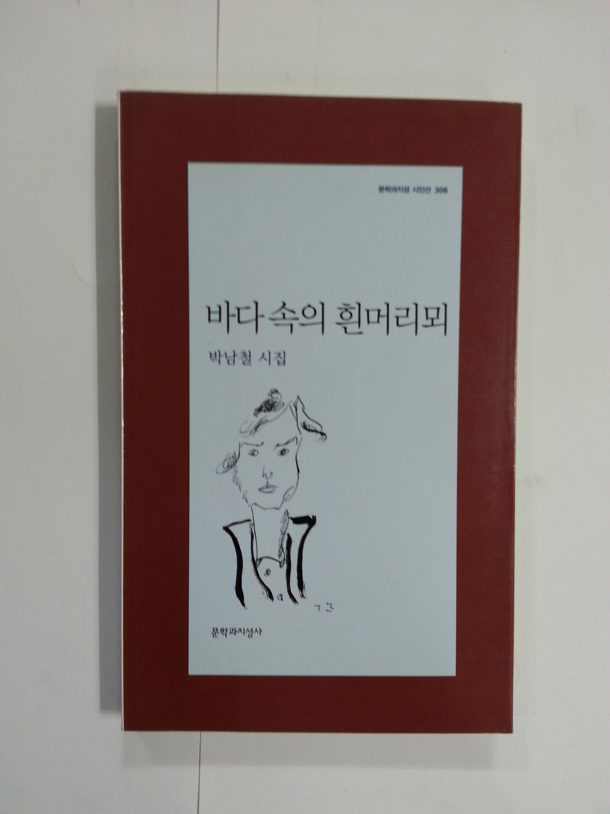 바다 속의 흰머리뫼 (박남철시집, 2005년초판)