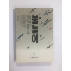 불놀이 (조정래장편소설, 1990년)