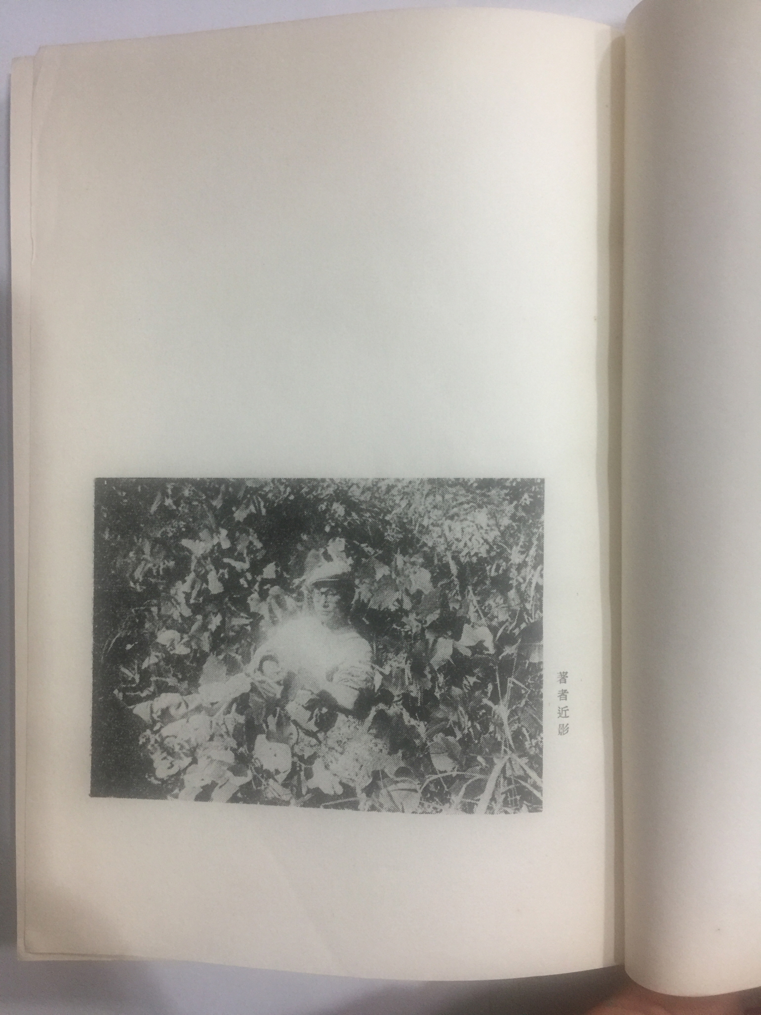 거미와 성좌星座 (박두진朴斗鎭 제3시집, 1962년초판)