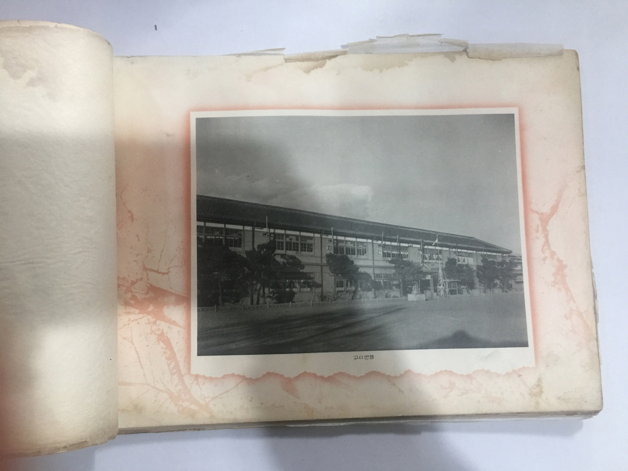 졸업기념 제55회 대구종로국민학교 (1963년)