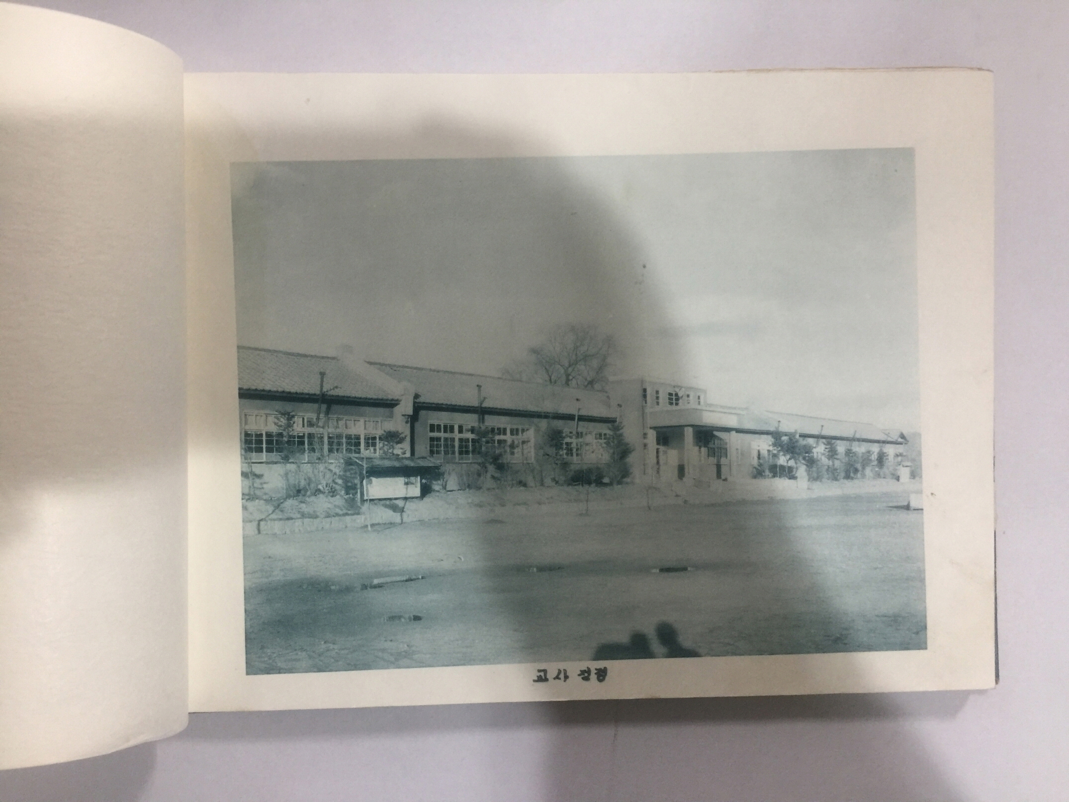 졸업기념 홍천국민학교 제51회 (1964년)