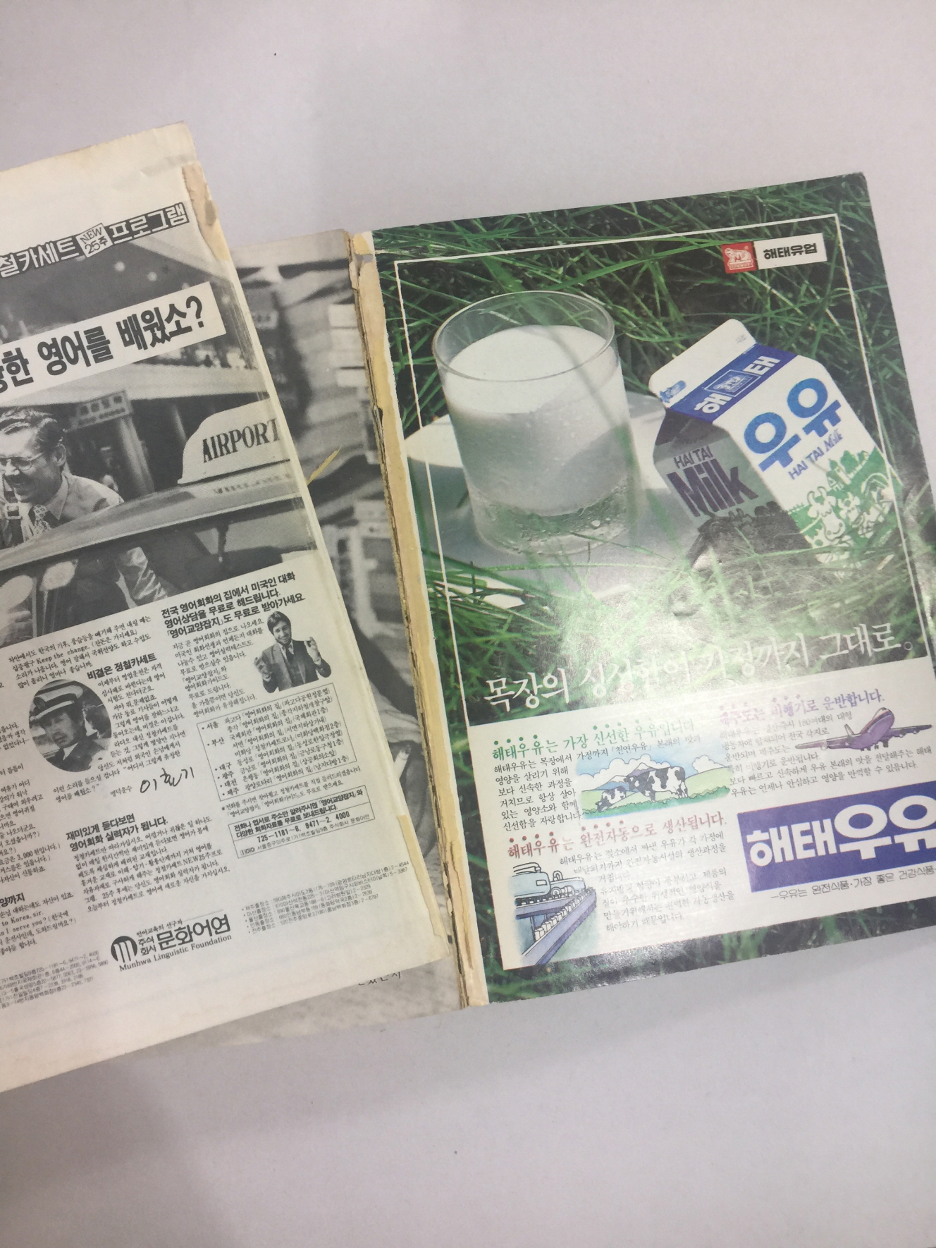 현대문학 8 (1982년)