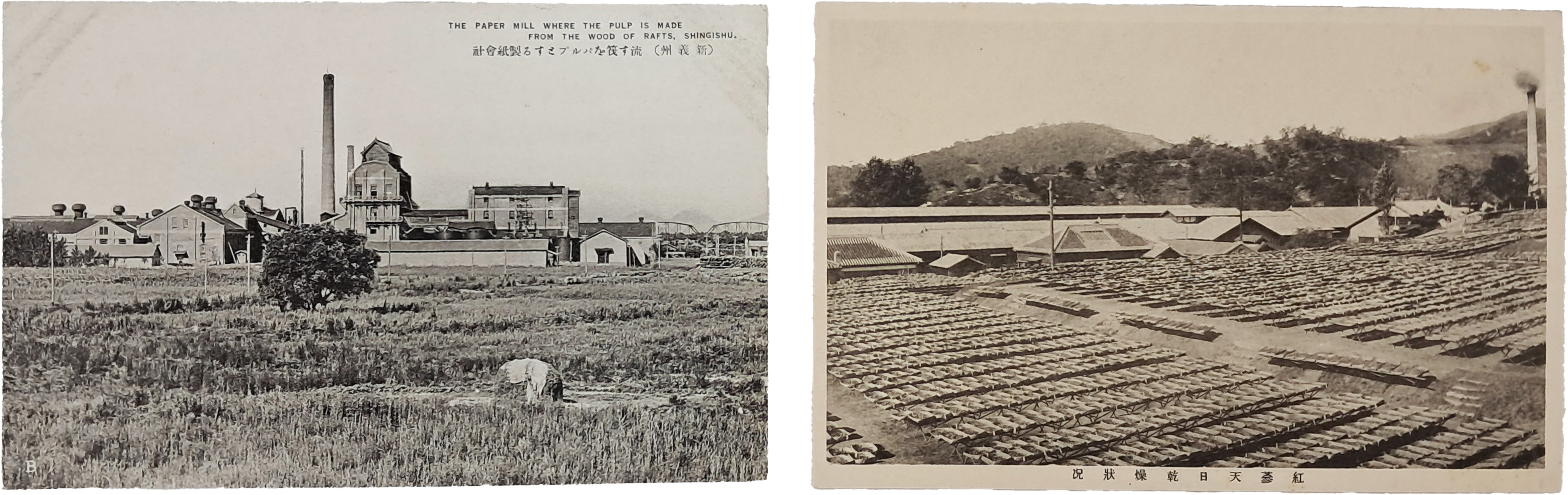일제 강점기 신의주 제지회사 등 [사진엽서] 2점